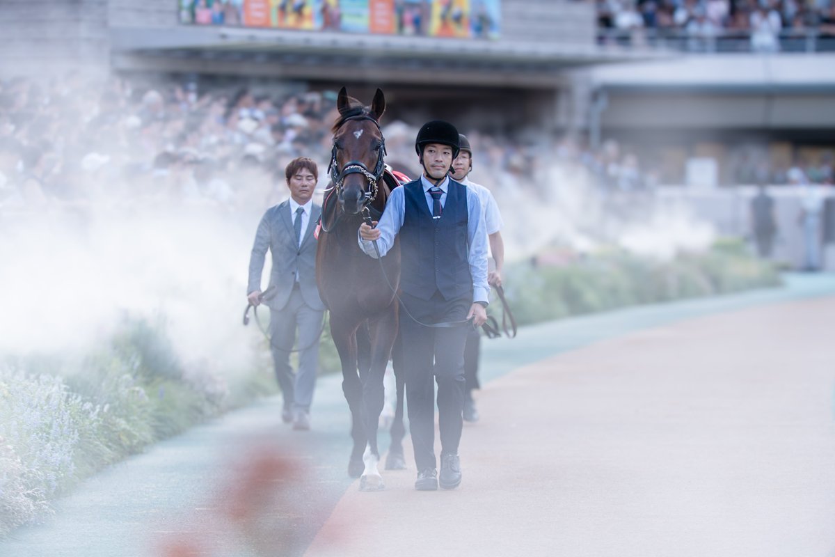 BloomyPink_'s tweet photo. 2025.10.05
東京11R  毎日王冠(GII)(芝1800m)
𓂃 𓈒𓏸 #シリウスコルト 

初の東京コース、お疲れ様でした。
今回のような高速決着は向いてなかったね。
今日も一生懸命でかっこよかったよ。
　
#田中勝春厩舎 
#古川吉洋騎手 
#マクフィ産駒 
#千代田牧場 
#飯田正剛オーナー https://t.co/K10JIFlnj4
