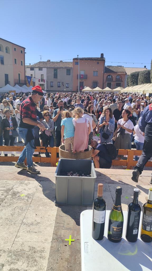 Diumenge al matí gaudint de la #FestaVeremaBages i aixafant raïm.
<a href="/dopladebages/">DO Pla de Bages</a> <a href="/AjuntamentArtes/">Ajuntament d'Artés</a>