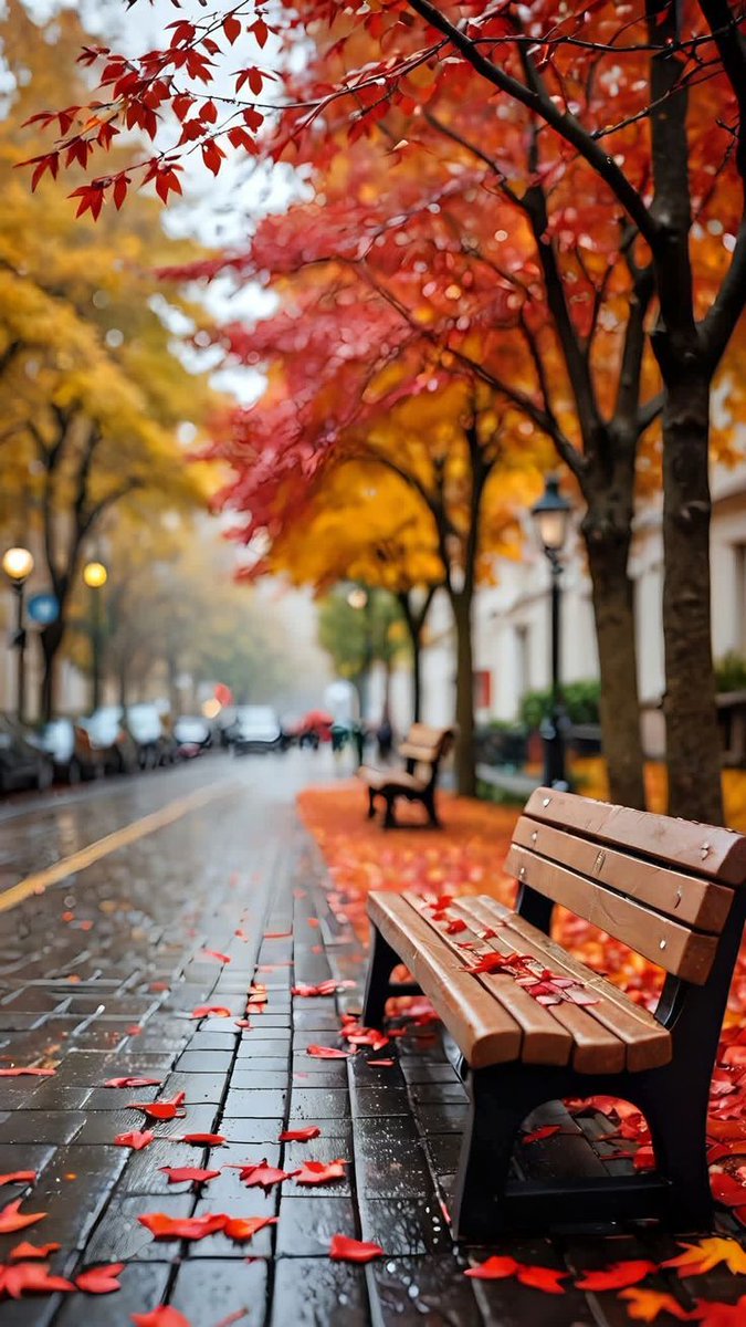 ◌𓈒𓐍𓈒✿𓈒𓂂𓏲 ℋ𝒶𝓅𝓅𝓎 𝒮𝓊𝓃𝒹𝒶𝓎🧡