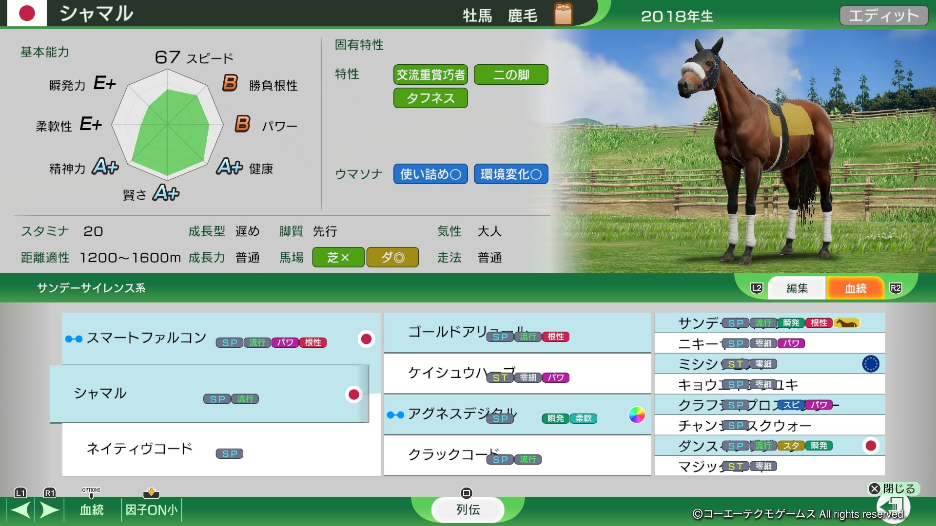 【新品未開封】ウイニングポスト10 ウイニングポスト10 2025配信 その1 サラ系〆配合 序盤攻略編