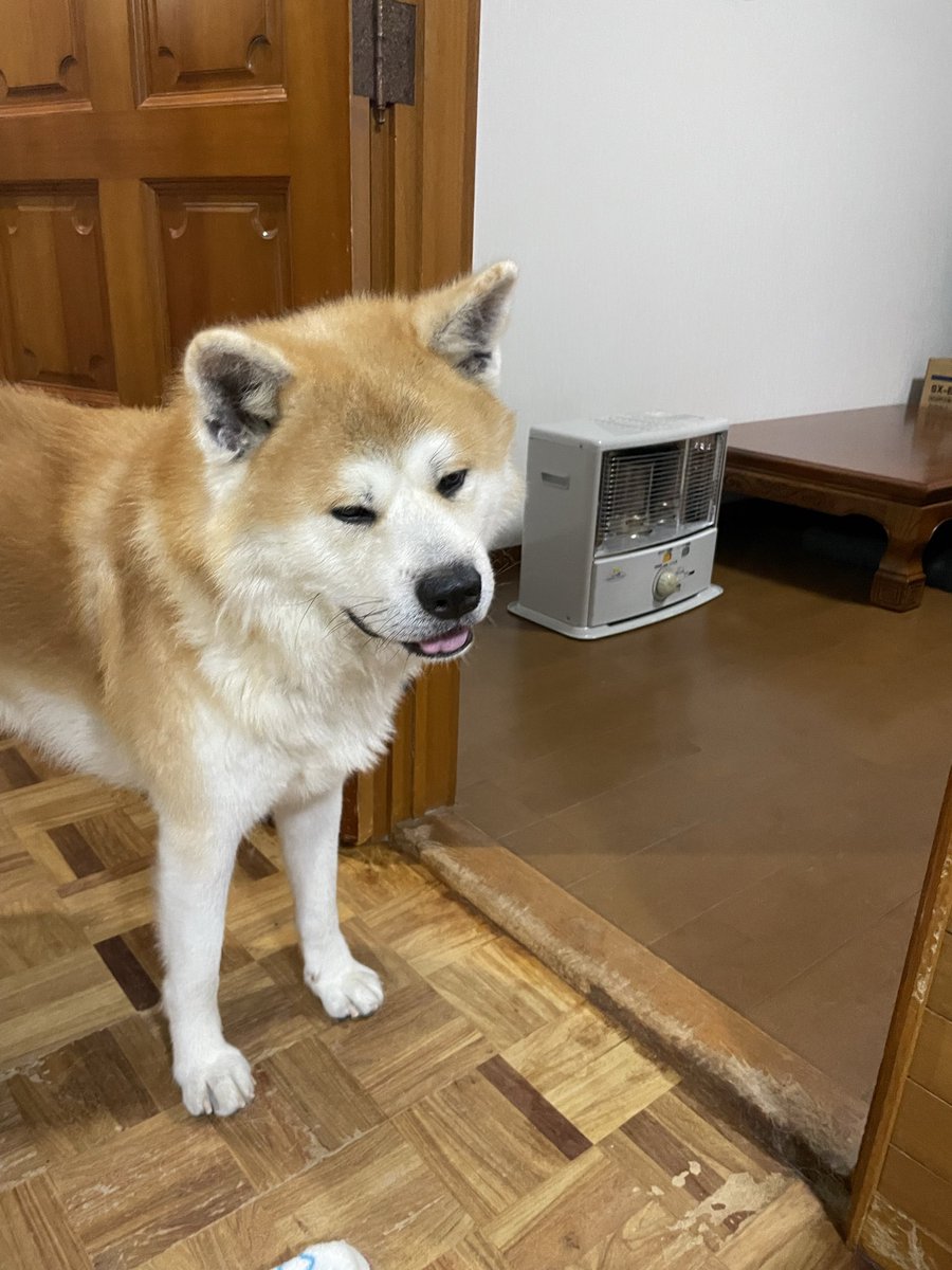 祖父さんいるかと思って見たけど居なくてスネモード