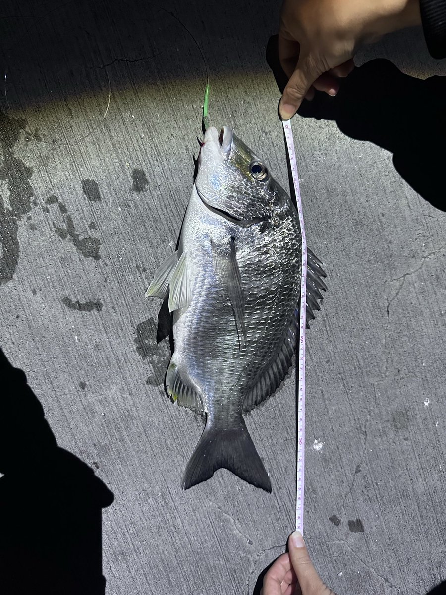 OneChiCh1's tweet photo. A time for the simple joys of fishing with bait. （27-29/05/2025） https://t.co/tBBZxZ8b9W