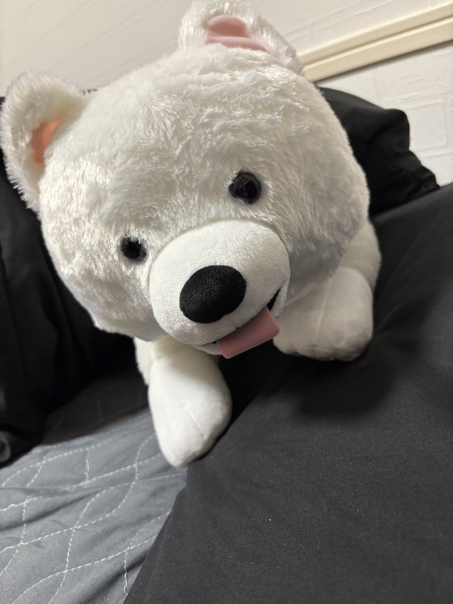 kt_channn's tweet photo. 昨日から犬を飼いました https://t.co/ywcPMNpRov