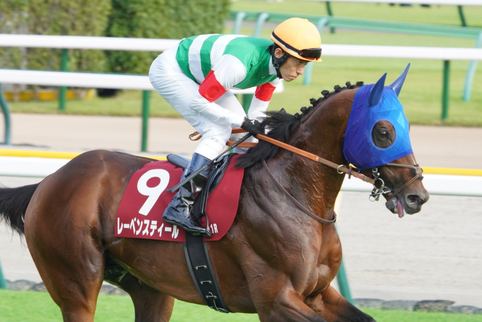 ⭐︎ミヤル⭐︎ Maison MIHARA YASUHIRO ONLINE STORE（メゾンミハラヤスヒロ