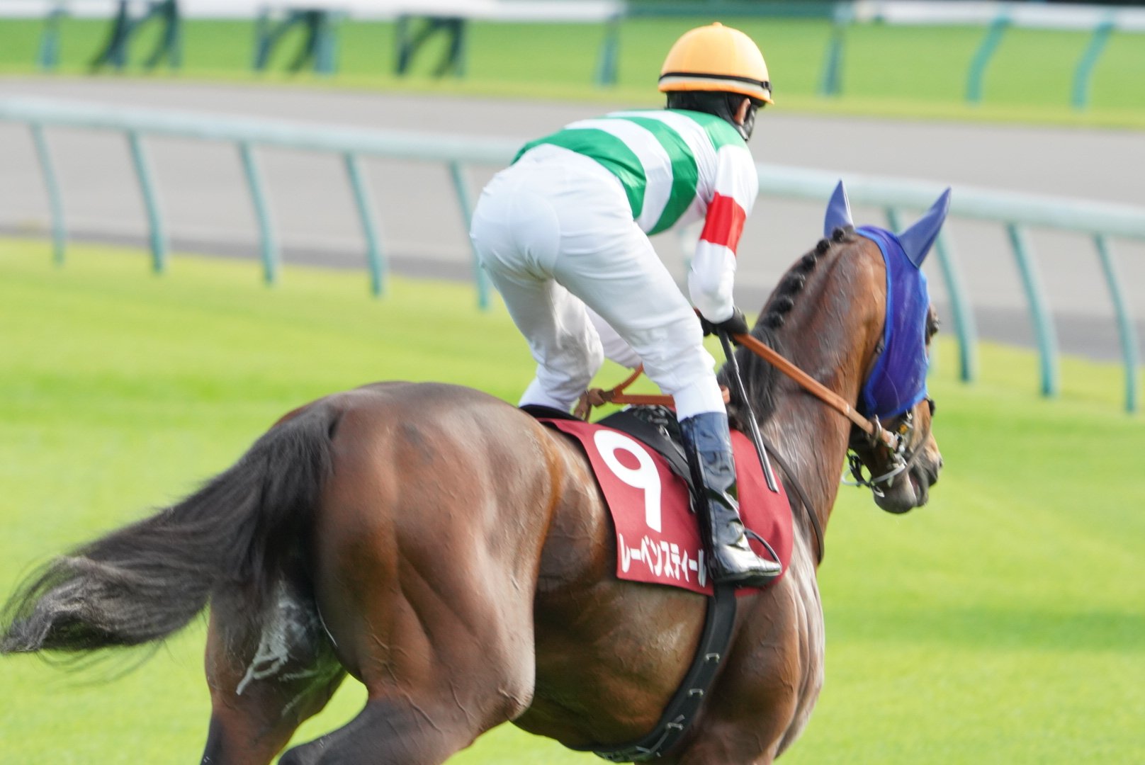 ⭐︎ミヤル⭐︎ Maison MIHARA YASUHIRO ONLINE STORE（メゾンミハラヤスヒロ