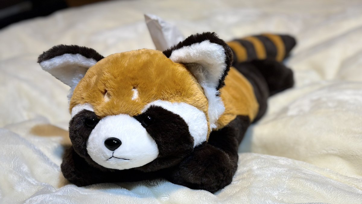 ZOO_nagano0922's tweet image. 本日紹介するのは、またまたレッサーパンダのティッシュケースです🧸

ふわふわで抱き心地は最高😆これはもはやぬいぐるみです！

そしてサイズは驚きの【全長約70㎝】‼️
こんなビックサイズのレッサーパンダのティッシュケースは他にはありませんよ🕺

ぜひゲットしてください🤗🙌

#ZOOっとながの