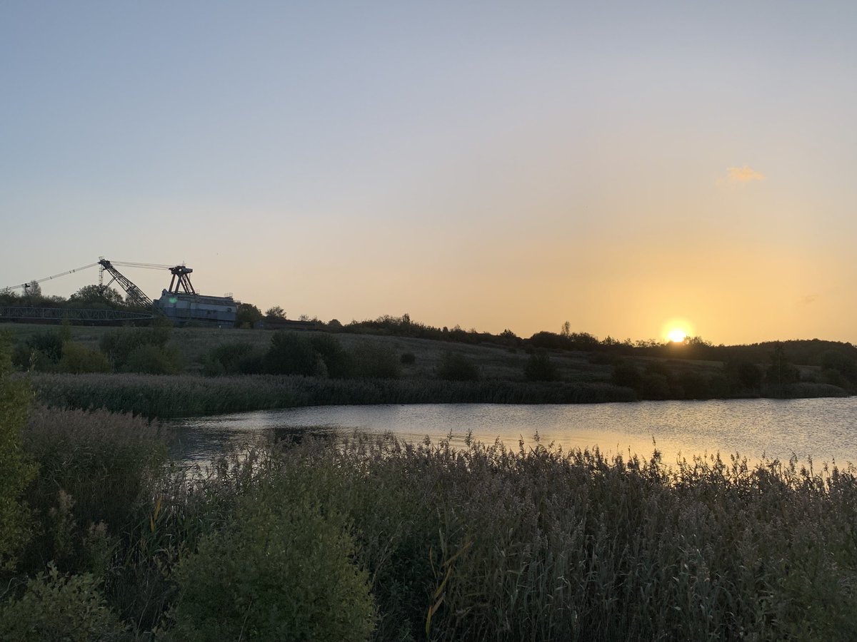 Jo Woolley tweet media