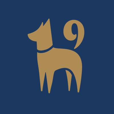 luxurylifestyle's tweet image. K9 Resorts Set to Make Illinois Debut luxurylifestyle.com/headlines/k9-r… #pet #petcare #dogdaycare #dogresort