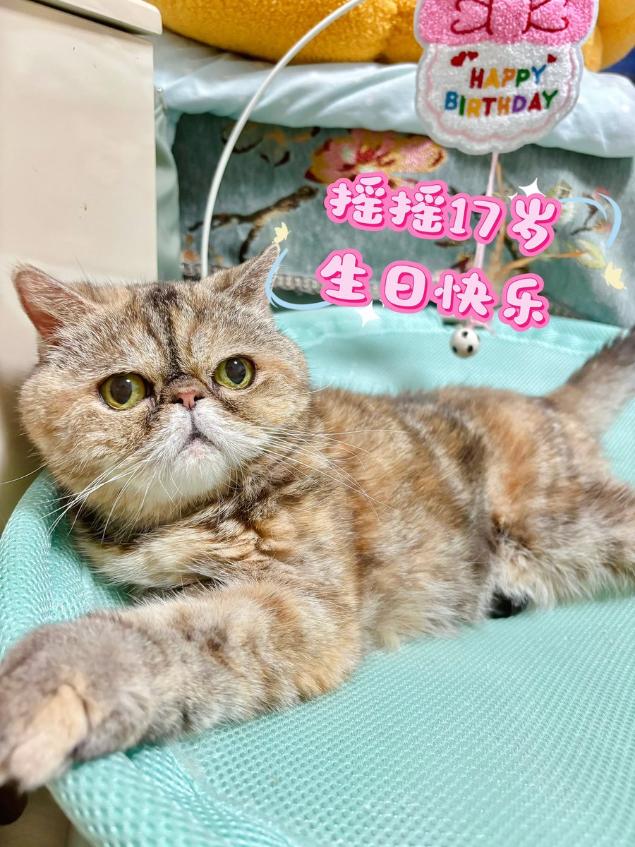 shenbuyao's tweet photo. 我爹還算孝順 https://t.co/CvQjroNUqI