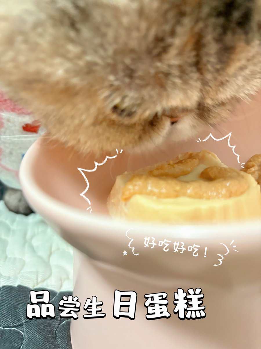 shenbuyao's tweet photo. 我爹還算孝順 https://t.co/CvQjroNUqI