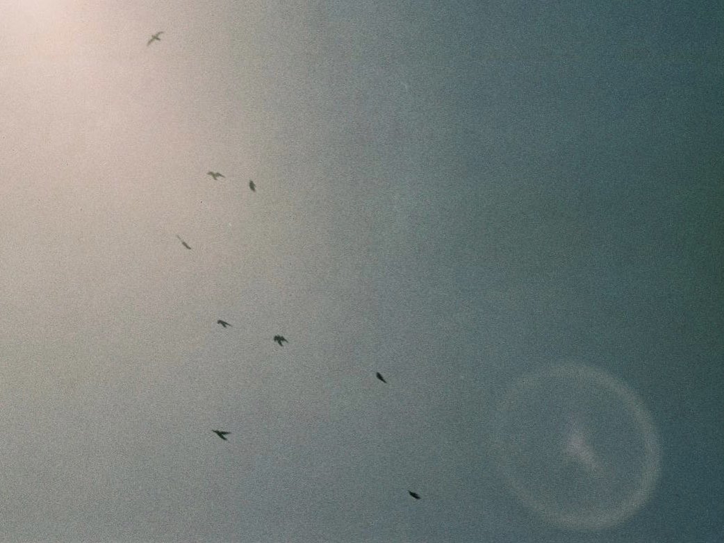 ametosai's tweet image. 