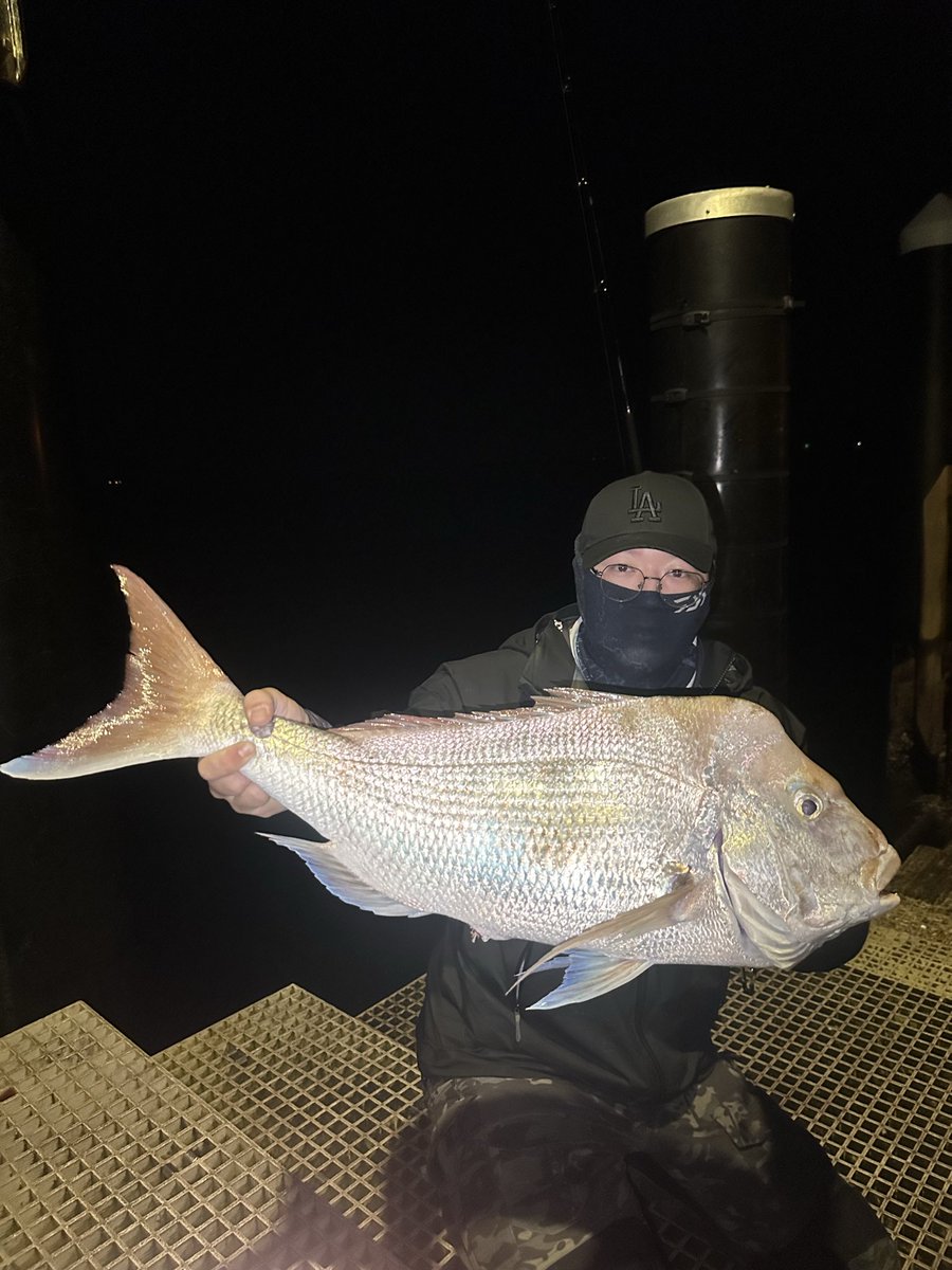 OneChiCh1's tweet photo. Fishing from the jetty, using simple bait, and I land an 85CM SNAPPER and a 1.1-meter JEWFISH. This place proved its legend once again.（04/09/2025） https://t.co/mqITqTNIRj