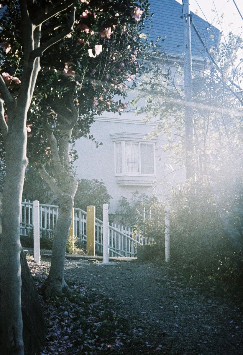 ametosai's tweet image. 