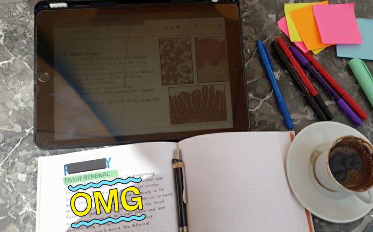 mdstudysyndrome's tweet photo. study med
day2
wish me luck
#studytwt #studymed https://t.co/ATo9H79oLj