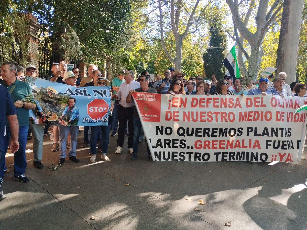 <a href="/UCINOFICIAL/">UCIN</a> en compañía nuestros amigos y compañeros de <a href="/espanavaciadaSA/">España Vaciada Salamanca</a>, de <a href="/CreeOficial/">Cree Oficial</a>, de <a href="/PartidoFuturo/">Partido Futuro 💛💙🇪🇸🇪🇺</a>, de <a href="/SoriaYa/">SORIA ¡YA!</a> , de <a href="/TeruelExiste_/">Teruel Existe</a> y tantos otros en la manifestación de Madrid en defensa del Mundo Rural cada vez más abandonado y agredido.
SER POCOS NO RESTA DERECHOS