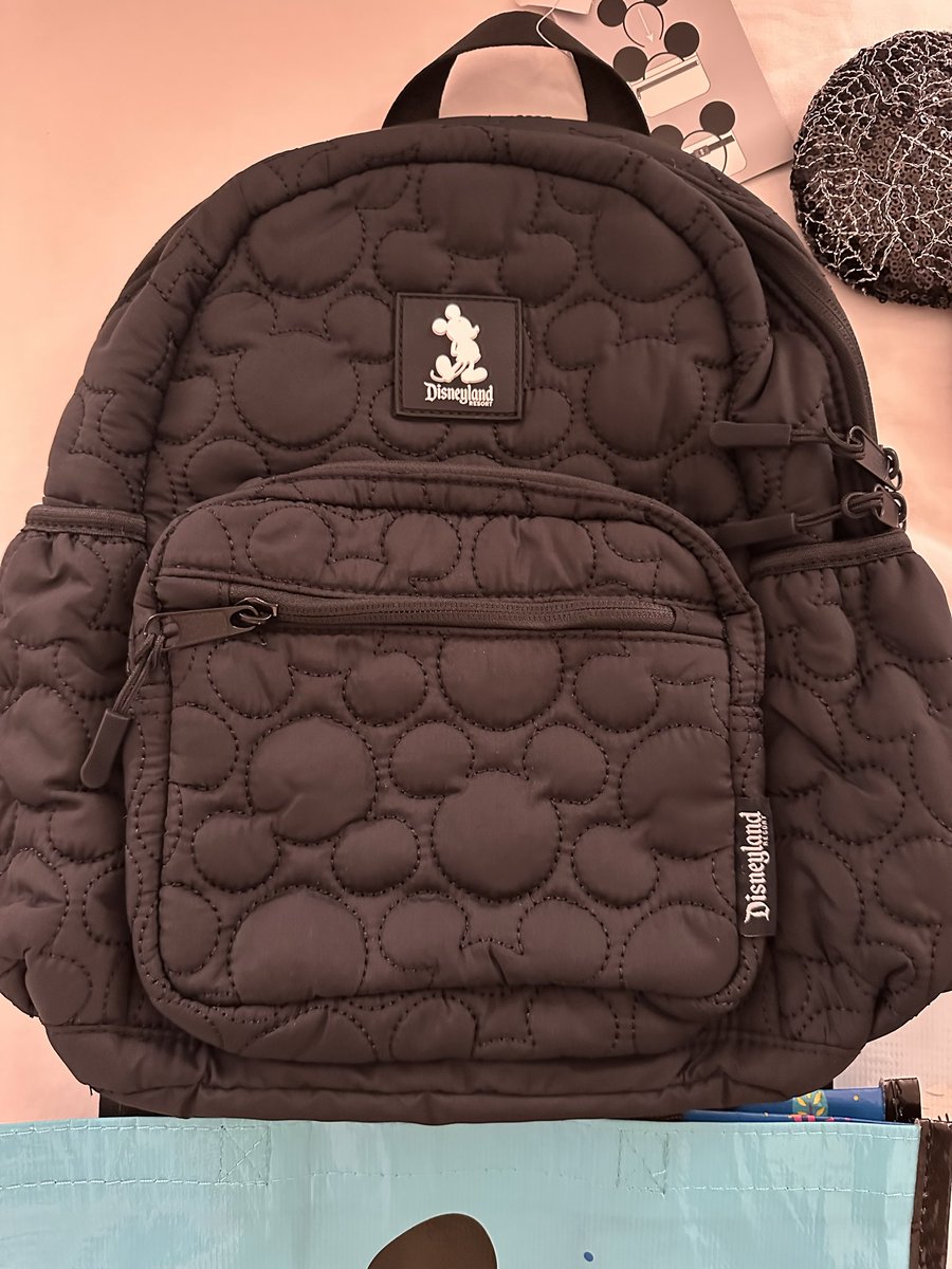 matchiii32's tweet photo. 購入品〜！
70thのミニリ��ック買いたいなって思ってたらこっち見つけて一目惚れ🥺ポケットめっちゃ��って使いやすそうだしキルティングがミッキーで本当かわいい😭後日本はイヤリング多いからピアス種類多くてありがたい🫶🏻カチューシャはウギブギで黒コーデに合わせたくて購入🕸️
#まっちLA旅2025 https://t.co/O7CbQg3Ubm