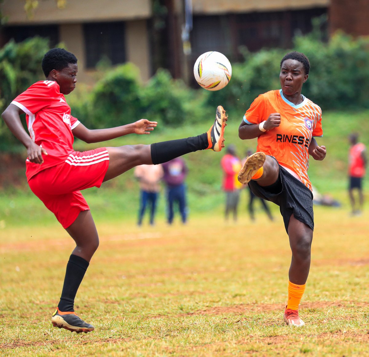sportslens1's tweet photo. SHE MAK 1-1 Rines S.S! The equalizer came in the dying minutes โ pure drama to the final whistle! ๐ฅ #FUWALeague #SHEMAK #RinesSS https://t.co/j5j1x8yPwC