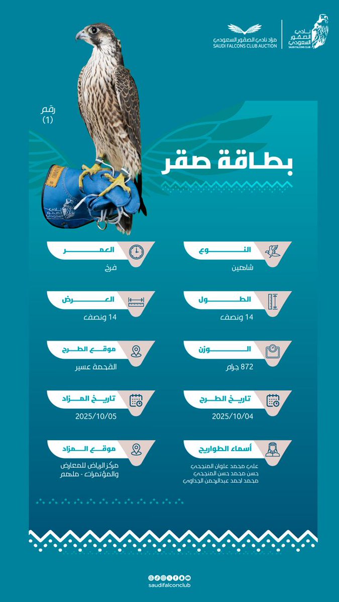 NCFSaudi's tweet photo. تعرفوا على الصقر المشارك في الليلة الثالثة من #مزاد_نادي_الصقور_السعودي 2025 
شاهین فرخ - طرح القحمة عسير 

#نادي_الصقور_السعودي 𓅃 https://t.co/nVU812G6Mf