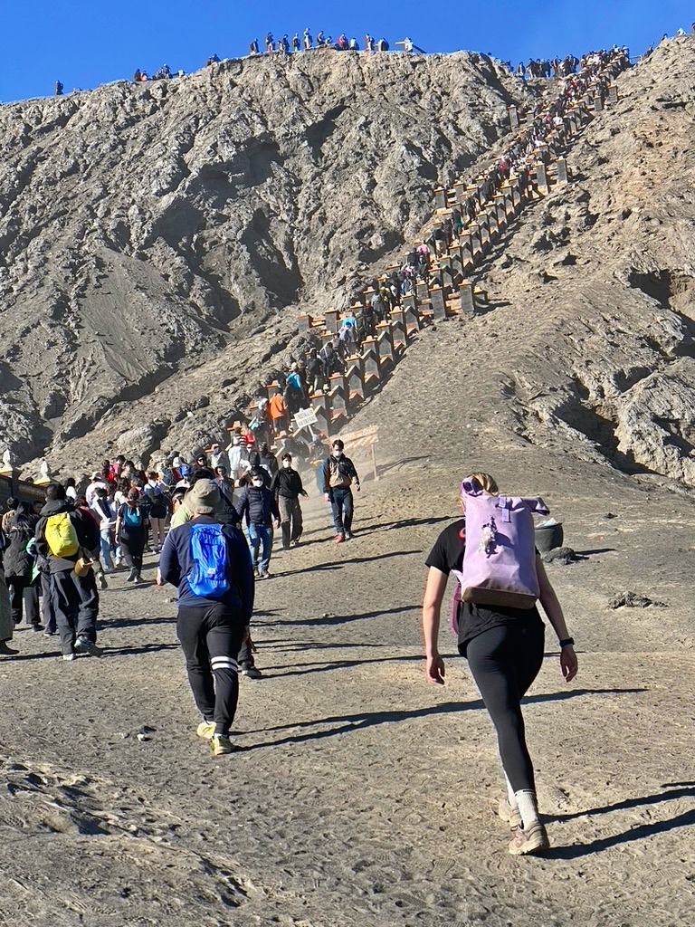 JogjaExplore's tweet image. The Most Complete Java Overland Adventure 13 days Yogyakarta - Bromo - Ijen - Bali Tour Package is an overland trip designed for travelers seeking an in-depth, unhurried, and cultural. Admin
Link site: jogjaexplore-tours.com/jogja-bromo-ij…
#javatour #yogyakartatour #bromoijentour