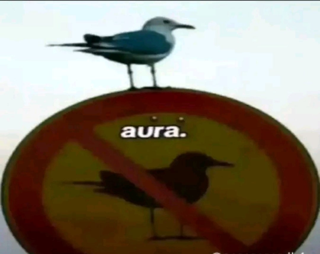 MultingZ tweet media