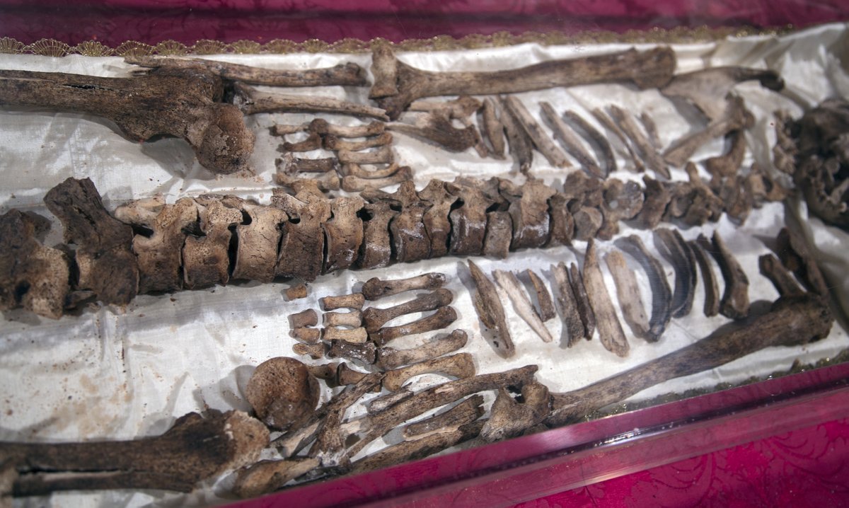 Protestia tweet media