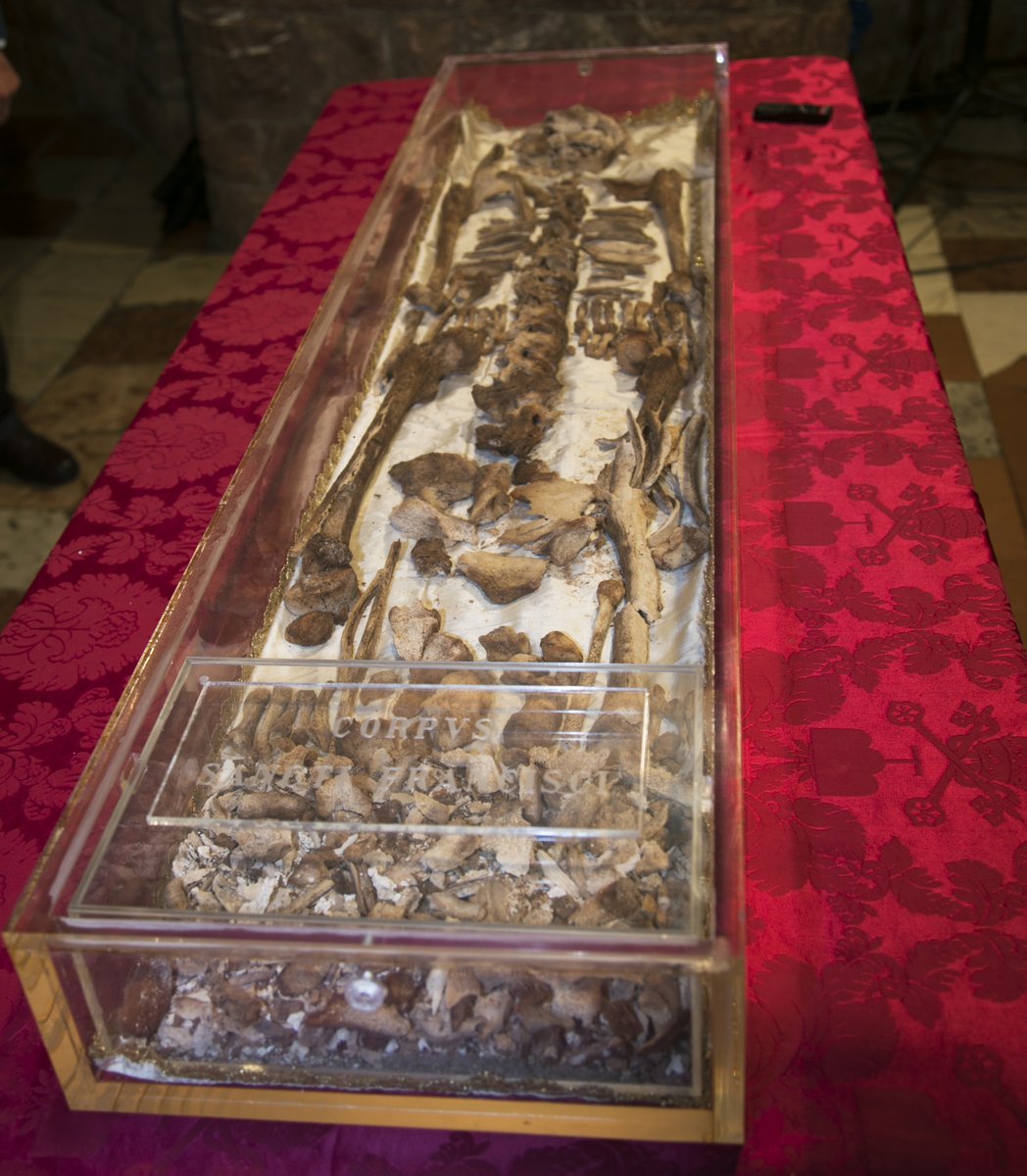 Protestia tweet media