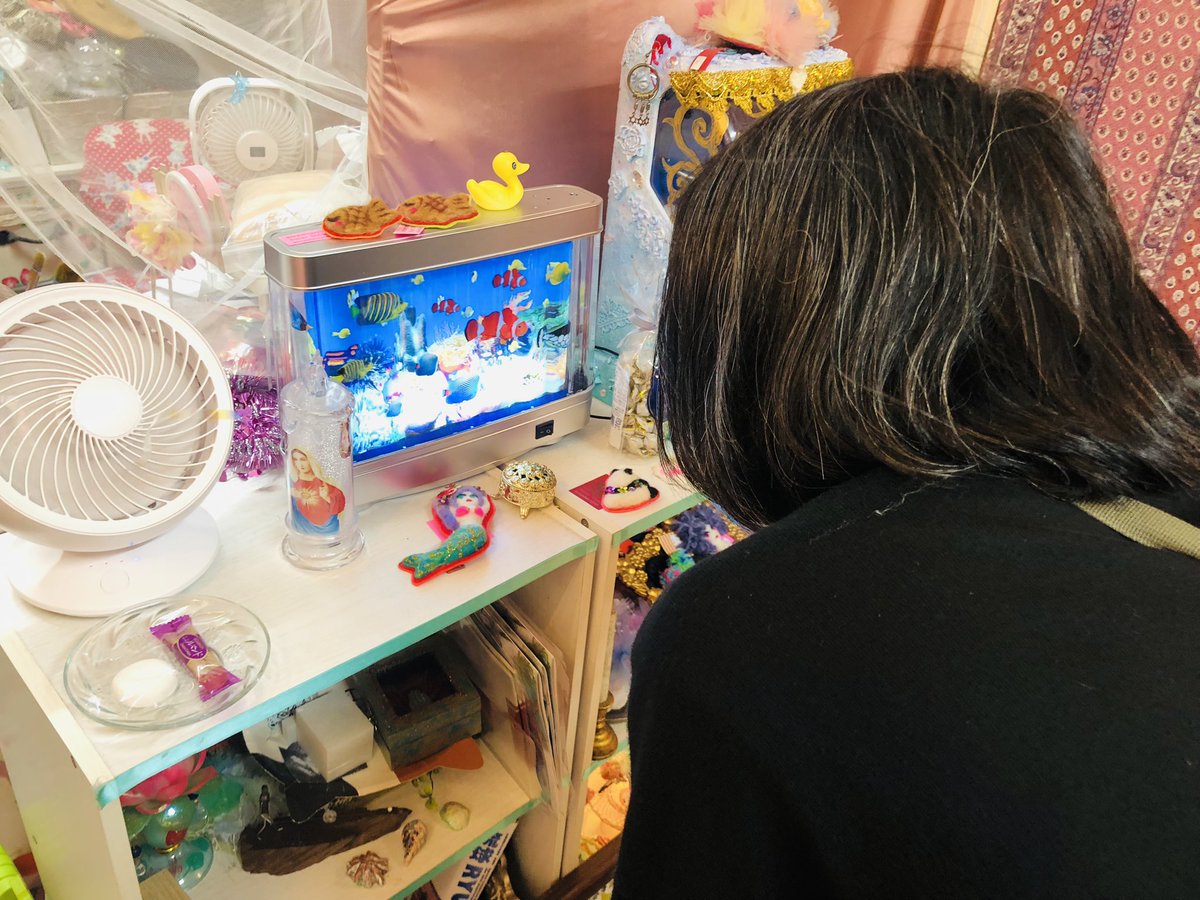 実見しにペロンミﾁｬﾝ来た😄