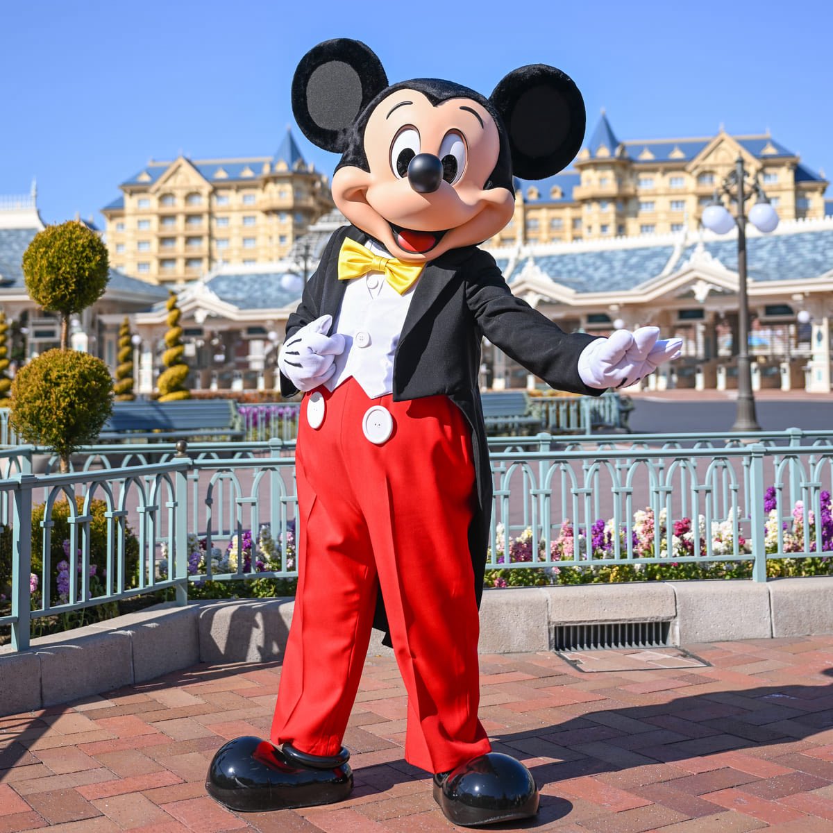 燕尾服姿のミッキー、ミニーに会える！
東京ディズニーランド  メインストリート・ハウス前（キャラクターグリーティング） 
明日10月6日より再開です☆
mezzomiki.jp/post-227510/