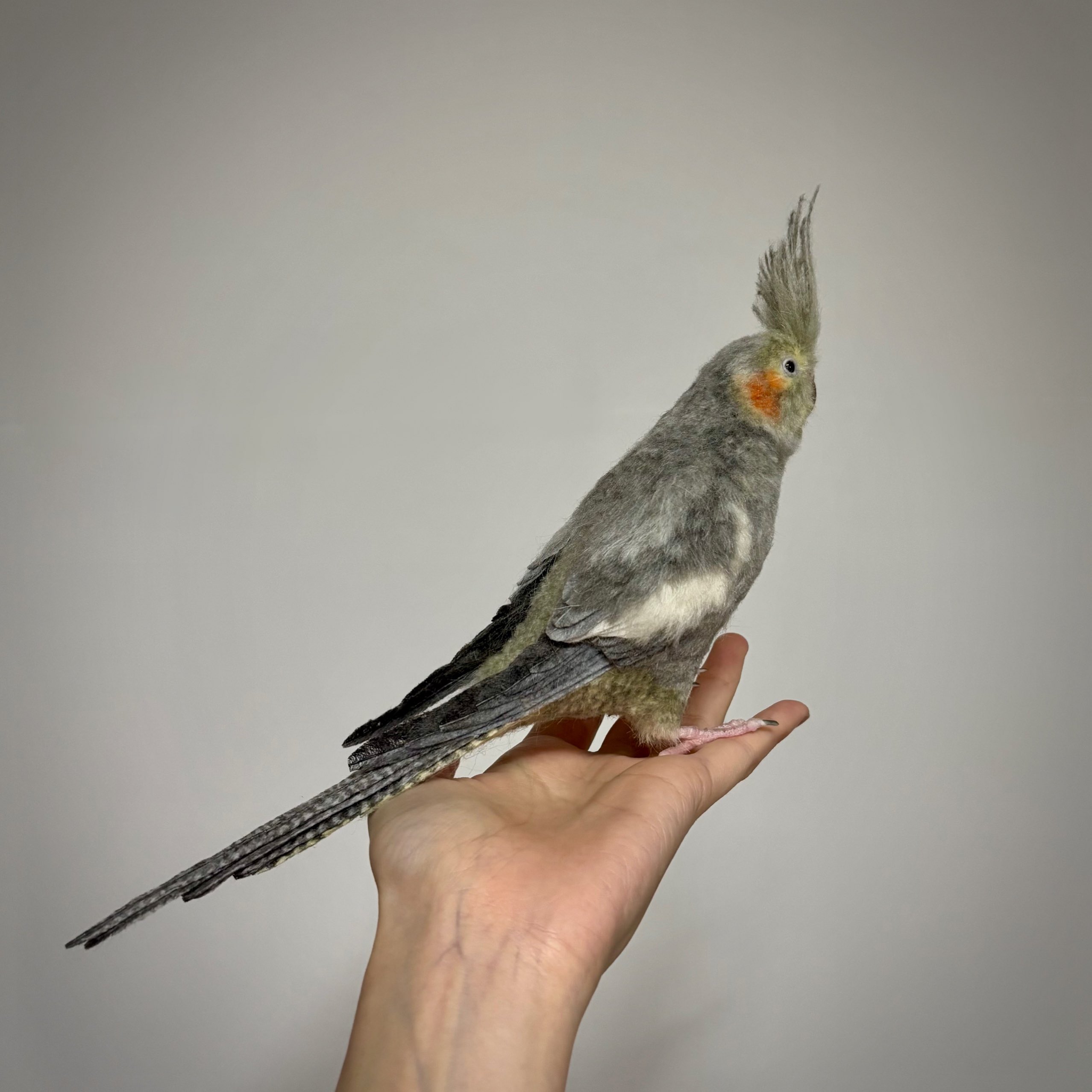 羊毛フェルト　オカメインコ 1/1サイズ オカメインコ ノーマル♂ 羊毛フェルト 受注製作