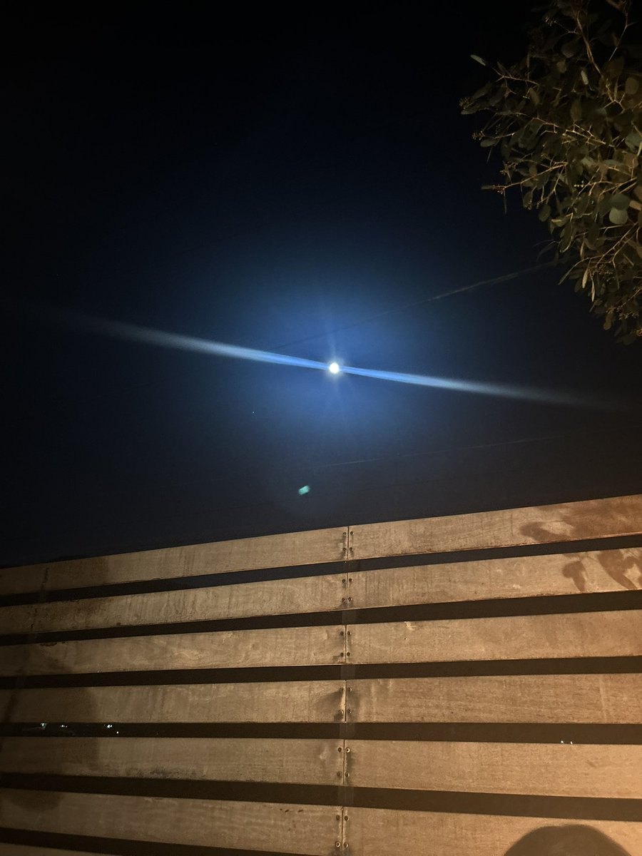 「月が綺麗ですね」