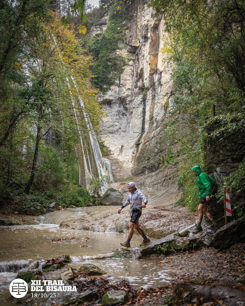 Ara ja hauria de començar a regar per tenir el terreny de joc en perfectes condicions, oi? Vosaltres què sou mes: de fred i pluja o de solet i clima tropical?
-
📸 Mario Clober
