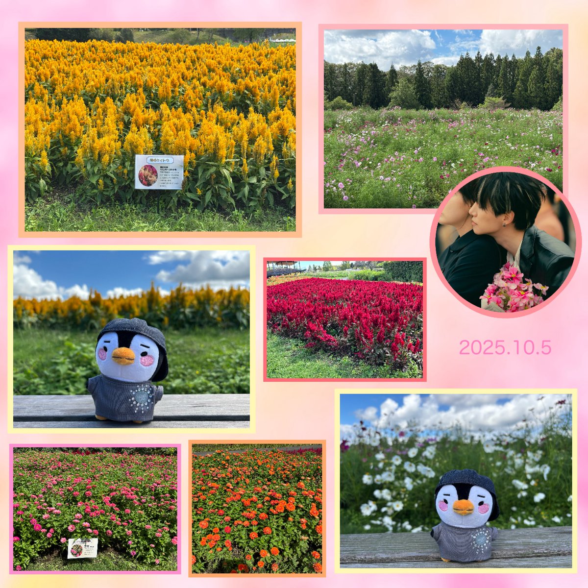 今日は暑かった〰🔅
秋桜見たくて出かけたけど
ｹｲﾄｳ,ｼﾞﾆｱが見頃で📸ﾊﾟｼｬ 

お花の癒し効果 抜群〜✨👍🏻

明日から𝟝連勤 
金曜まで頑張れば
『ﾃﾌﾟﾝ商事』と𝟛連休♡🥹ﾜｧｰｨ♪