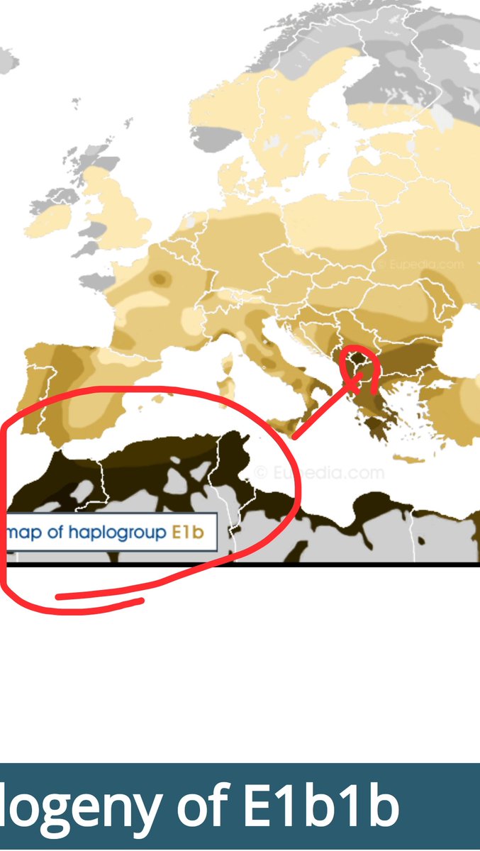 Milija Marković 🇷🇸🇪🇺 tweet media