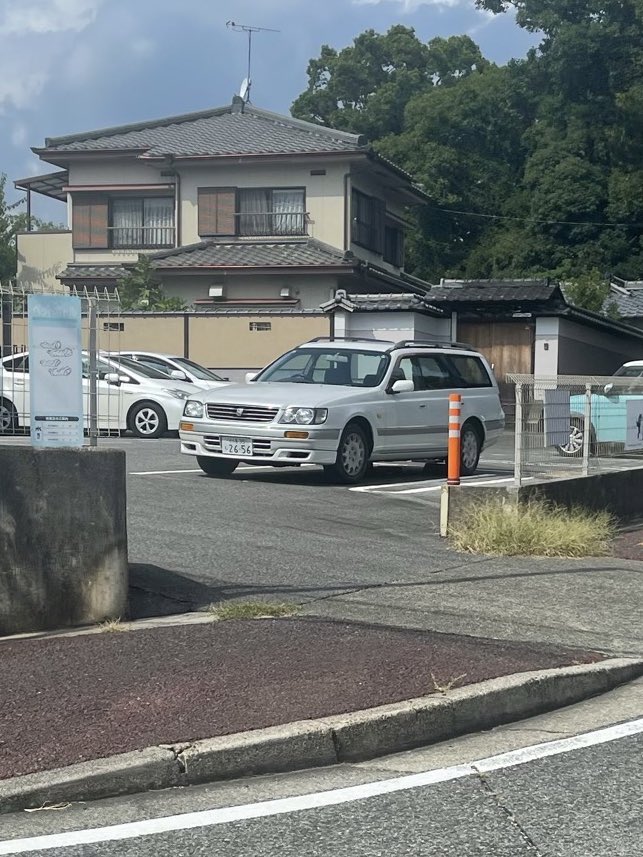 妹から送られてきた野生のステージアの写真