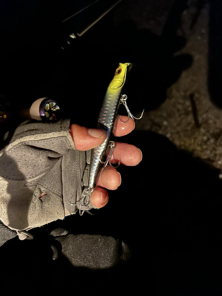 ものすげーバイト！
一瞬で伸ばされた。多分、アカメ🥲