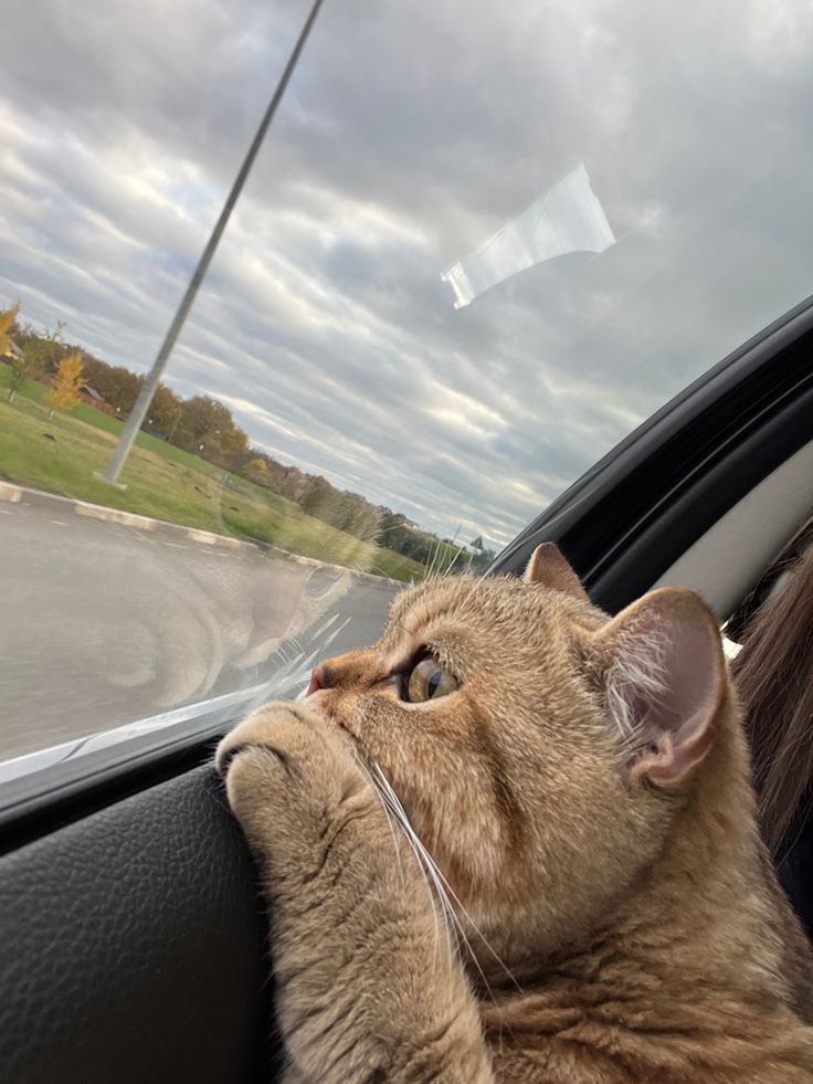 lanbisalya's tweet photo. Overthink https://t.co/dcpXNwbJlh