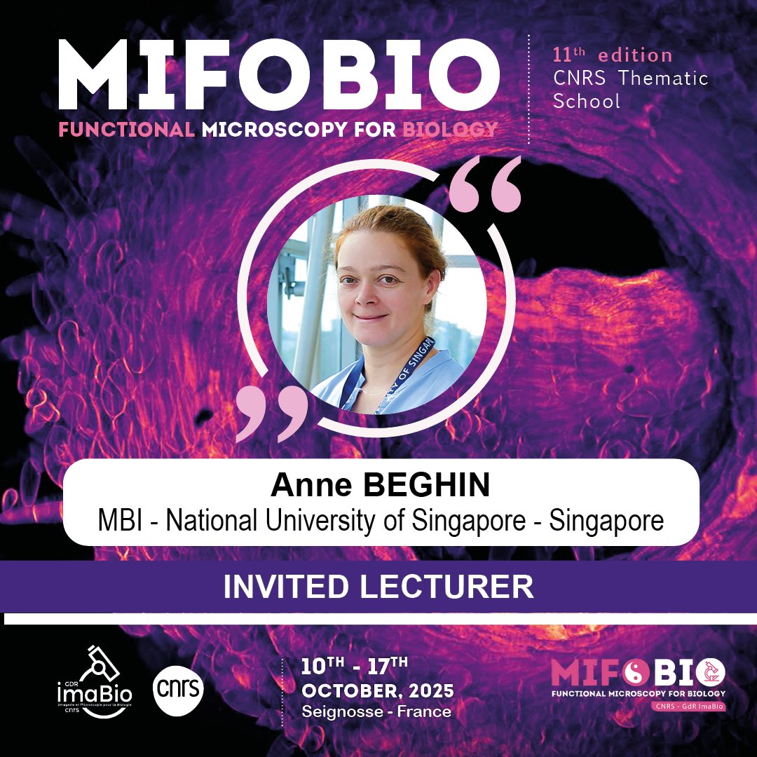 GDR_ImaBio's tweet image. #Mifobio2025
Focus on the module 4 :
👉 Multi-scale imaging of biological systems

We are delighted to welcome @BeghinTeam @MBIsg 

Lecture - “Breaking scale: Image Analysis–Based AI to Streamline multilevels 3D quantitative Imaging and Tackle the vEM Challenge”

#GDRimabio