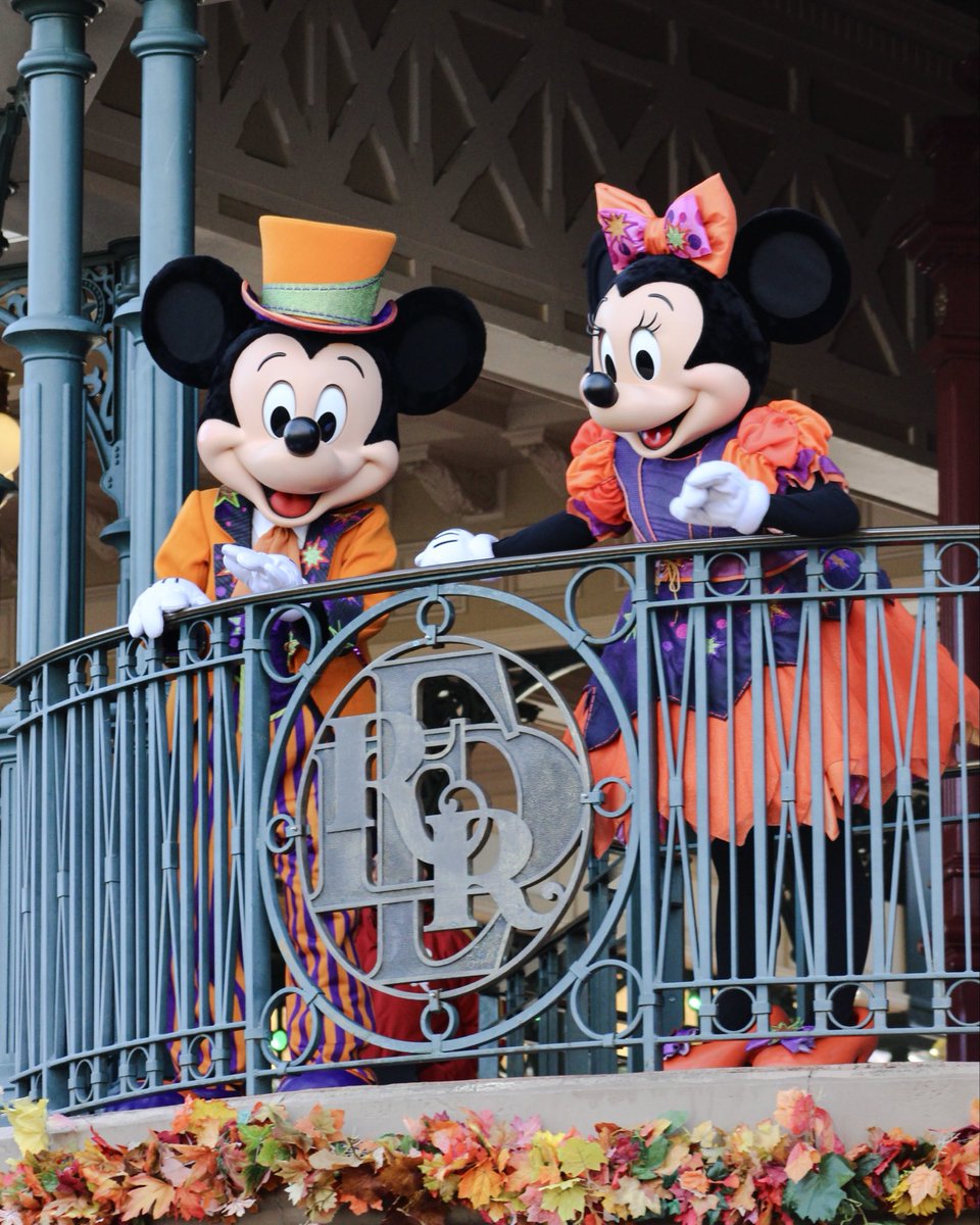 CharactersPBlog's tweet image. Join Mickey and Minnie Mouse each morning during Disney Halloween Festival for the "Happy Halloween Welcome" on Main Street Station! The best way to start your day at Disneyland Park! 🎃✨
#MickeyMouse #MinnieMouse #Disney #DisneyParks #DisneylandParis #DisneyHalloween #Disney