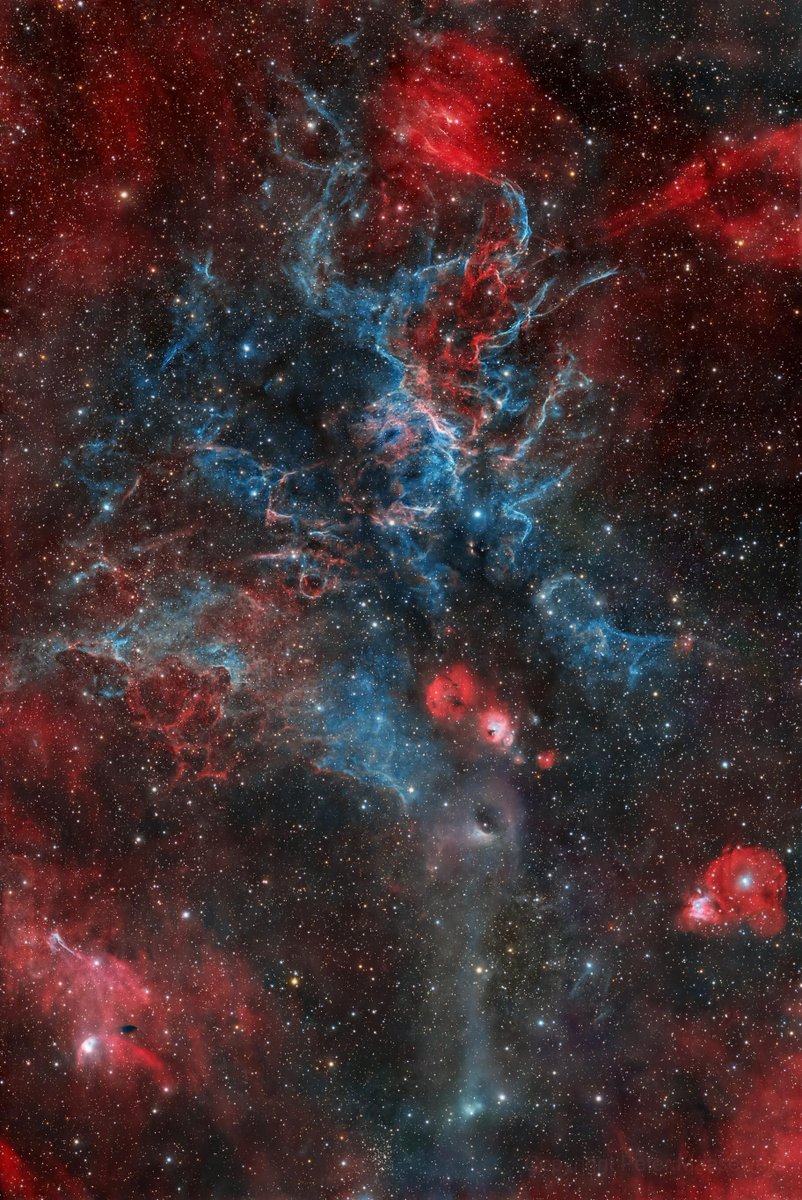 AstroBin's Image of the Day: "SNR G108.2-00.6 - a Rare Supernova Remnant in Cepheus" by pete_xl

astrobin.com/g0928g/

#astrophotography