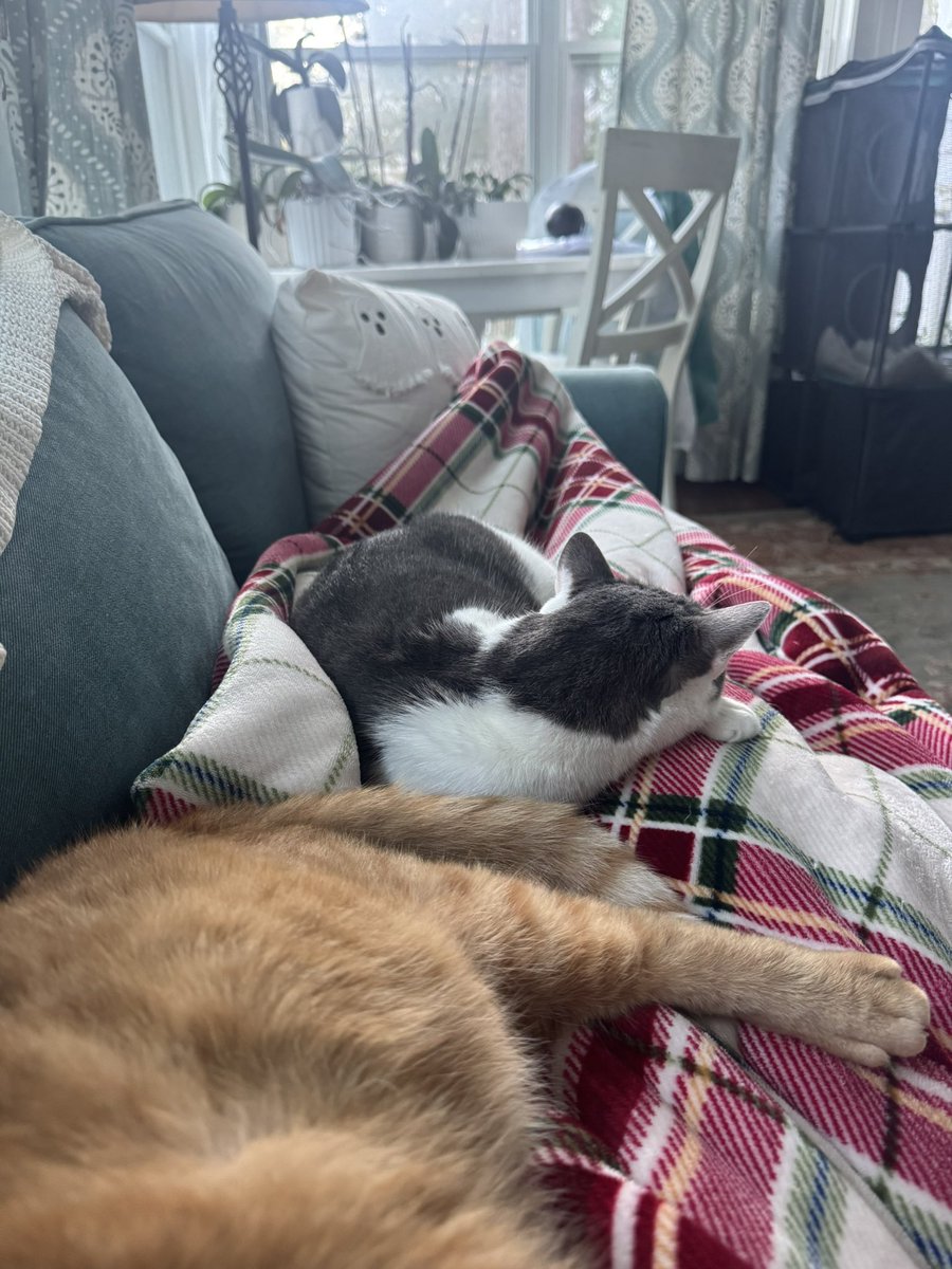 Clifton Dalgard tweet media