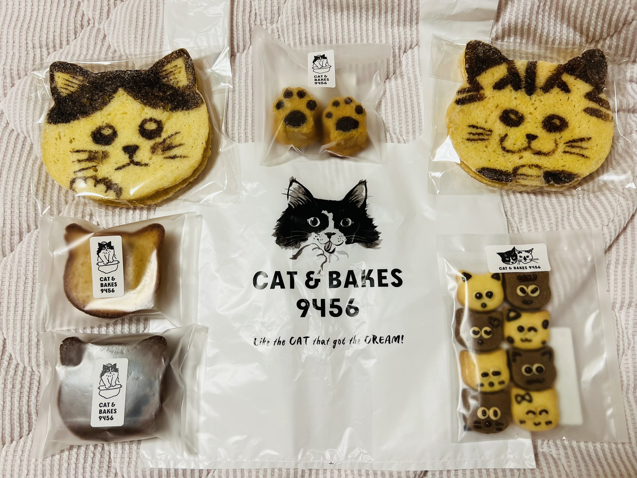 CAT & BAKES 9456 （キャットアンドベイクスグシコロ
