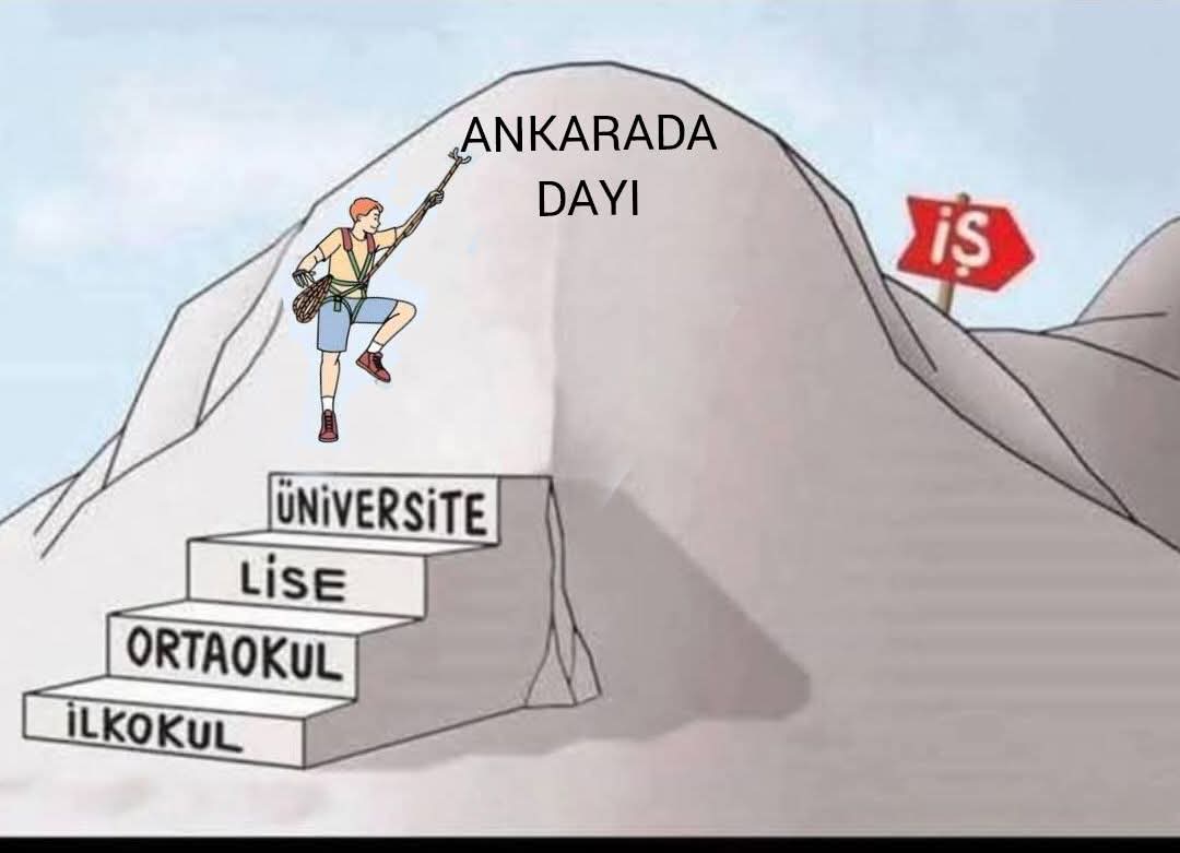 gonder_zeynep's tweet image. 