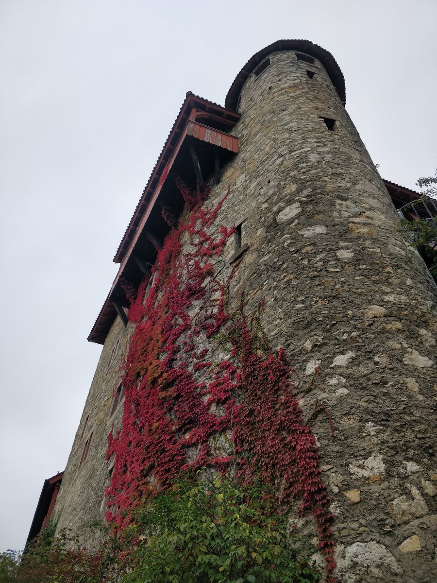 DannyJamesWard's tweet photo. Department hike - out and about in Baselland 🏞️ https://t.co/B5Apynmx8Y