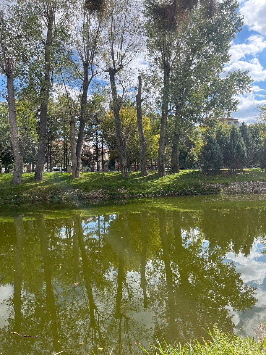 #eskisehir #eskisehirbağlar #EskisehirEsc  güzel hafta sonları DM bekliyorum