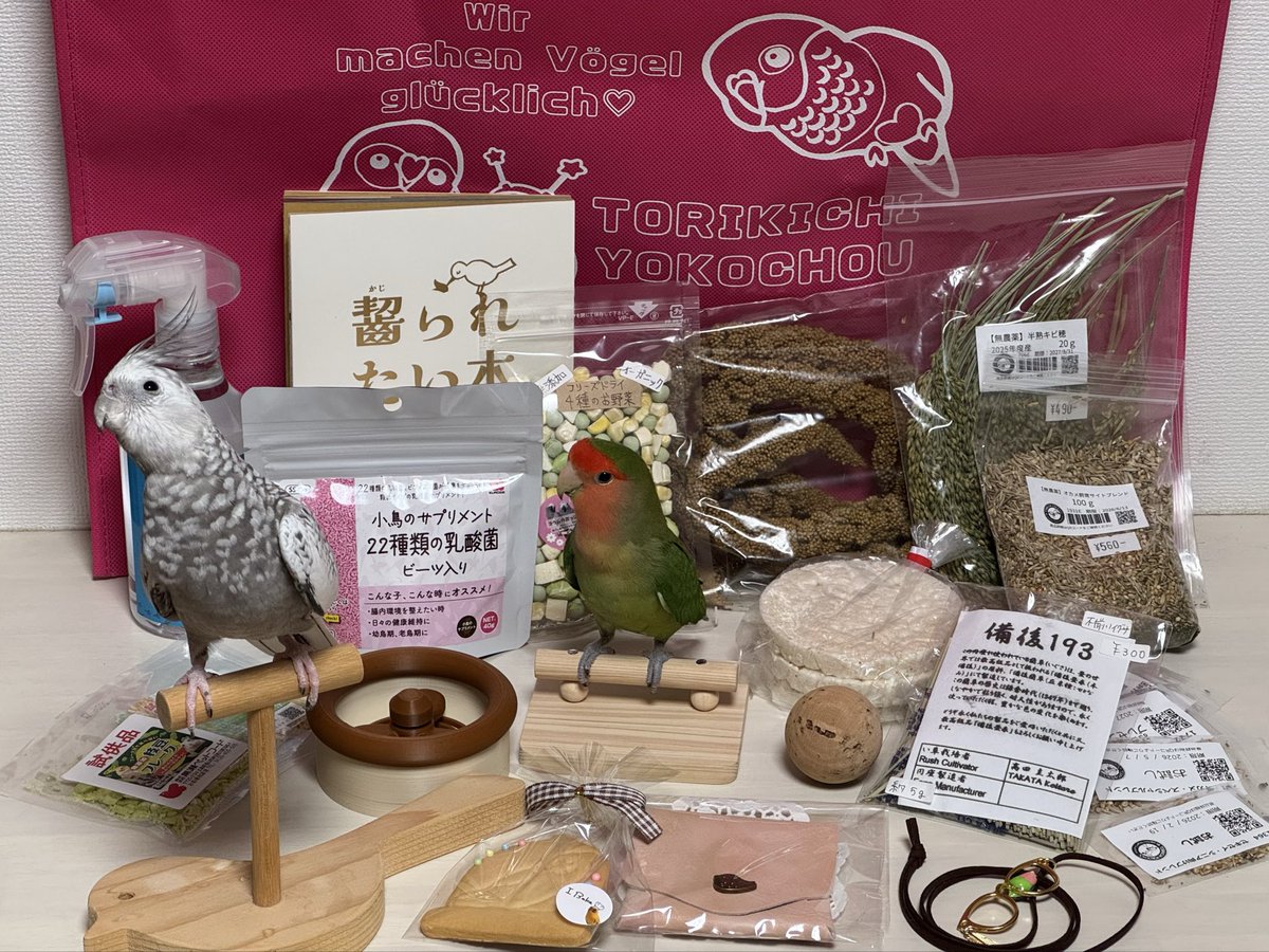 haruotosagaso's tweet photo. 愛鳥祭に行ってきました☆
飼い主のものよりも、インコのオモチャとごはんの方が多い！！
#愛鳥祭2025 https://t.co/or0BytEGOP