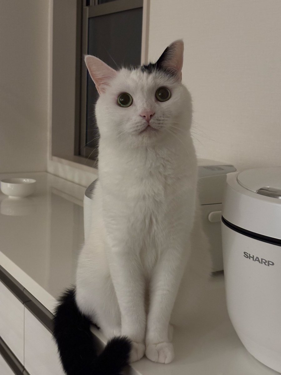 この子が待っているから夜の家事を頑張れる