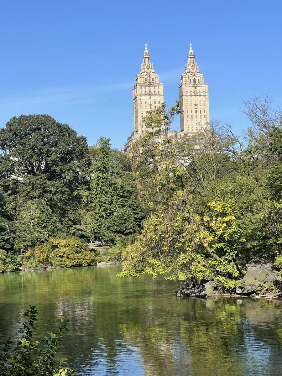 Apple🍎 tweet media