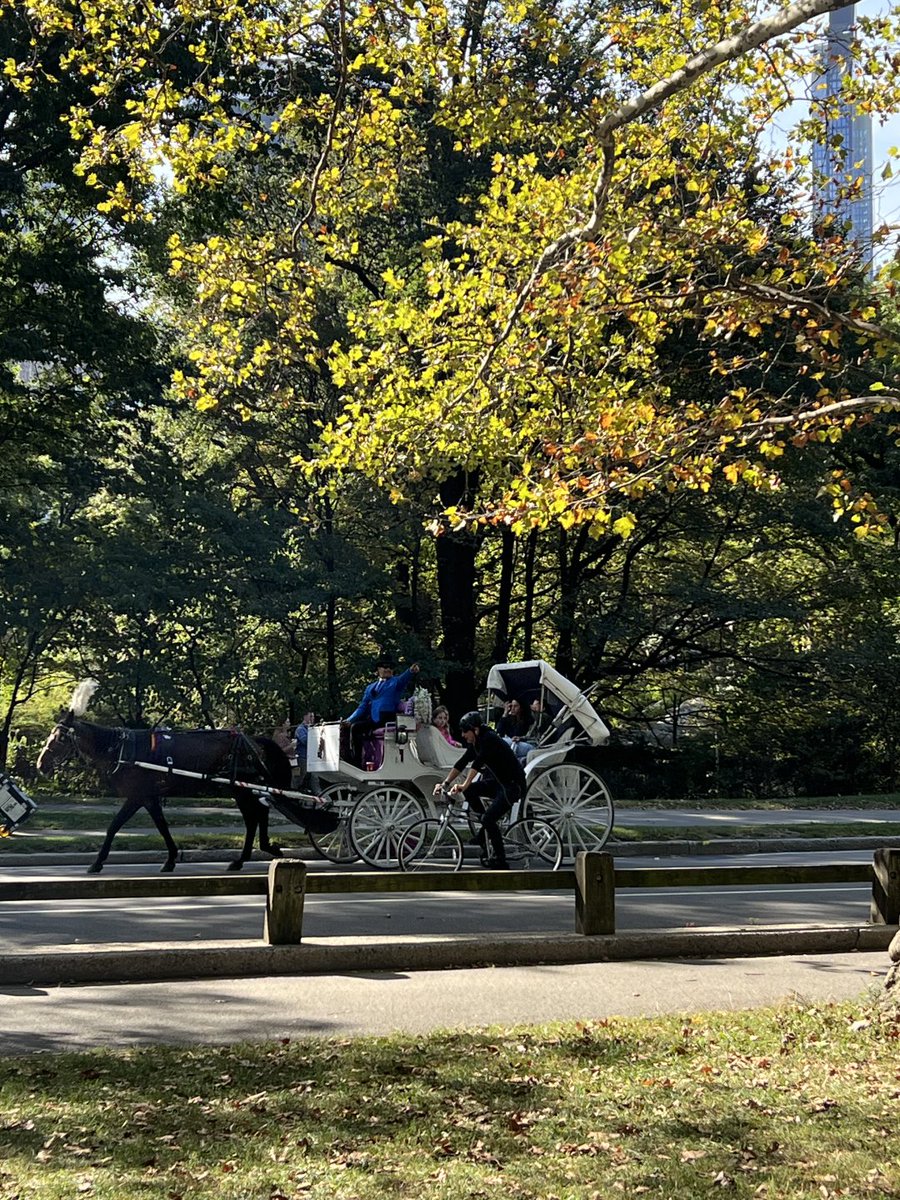 Apple🍎 tweet media