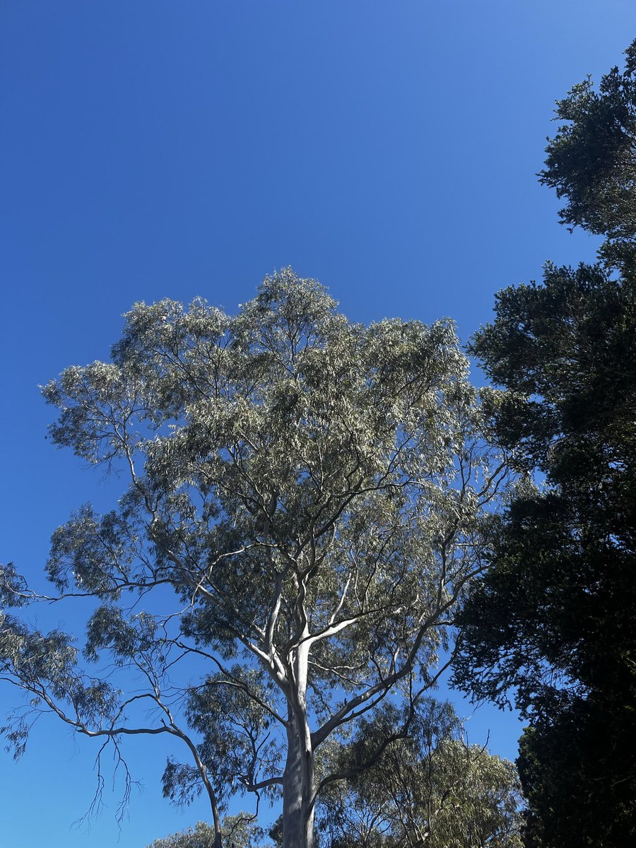 Shanghai R3: GMP 🌳 def. Fritz 6-4, 7-5 😁😁😁😁