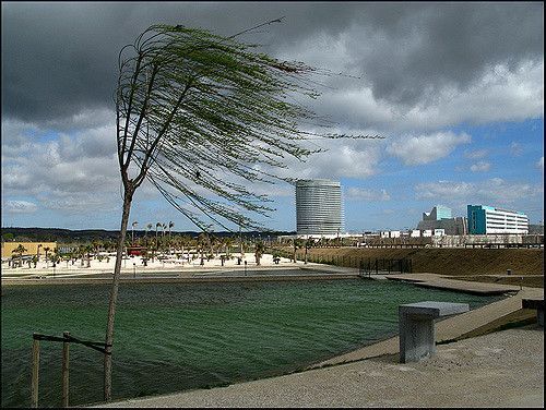 El viento 💨 nos vuelve a acompañar en #Zaragoza

#Precaución tanto a conductores como a viandantes 🙏, especialmente a los de dos ruedas.

El #Cierzo es tan imprevisible como sus consecuencias...

Si nos necesitas 0️⃣ 9️⃣ 2️⃣  
#Pilar2025